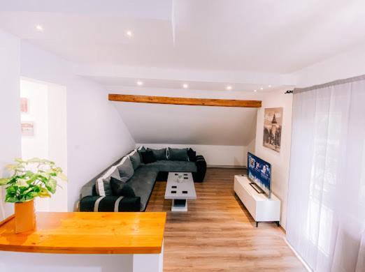 Apartman Aleksandar Lux Палич Екстер'єр фото
