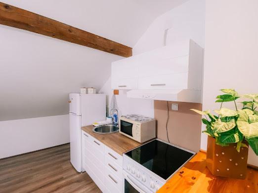Apartman Aleksandar Lux Палич Екстер'єр фото