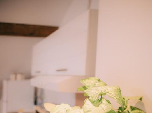 Apartman Aleksandar Lux Палич Екстер'єр фото
